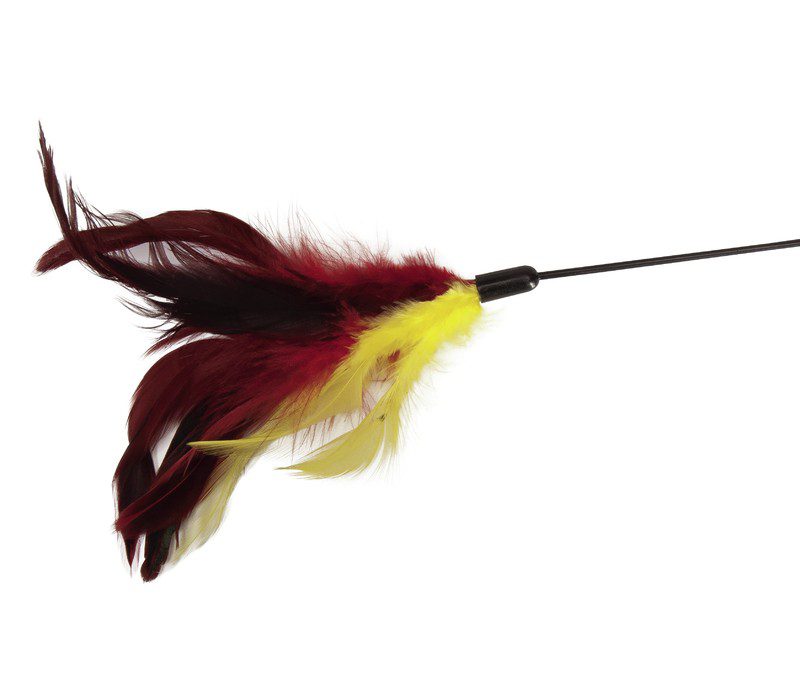 Hracka-pro-kocky-PRUT-S-BAREVNYM-PERIM-66-cm