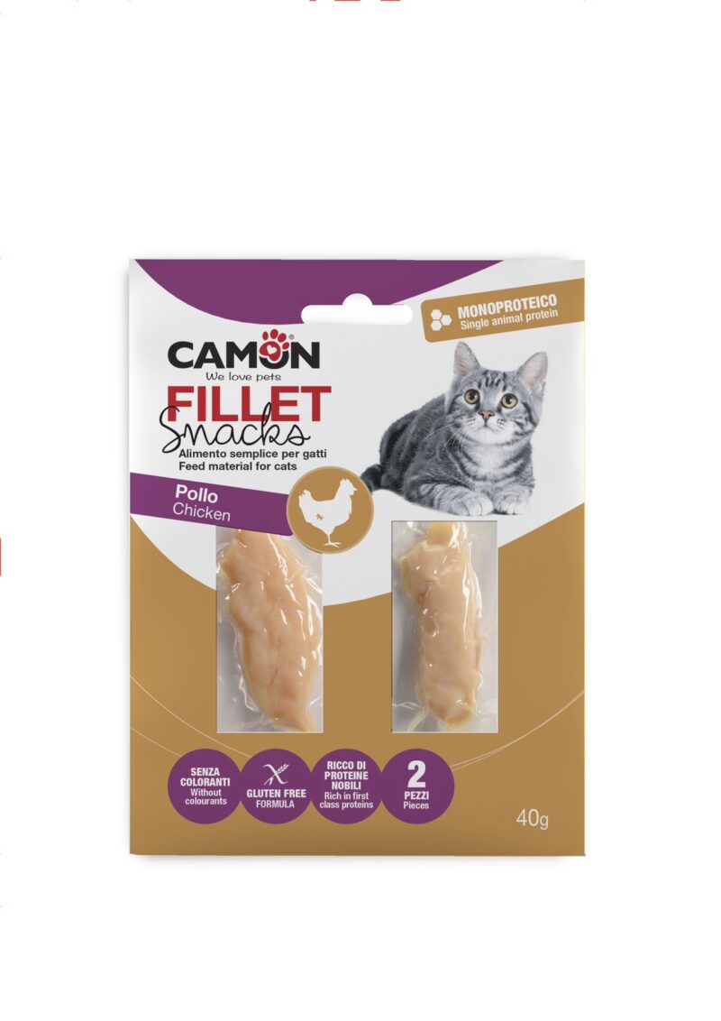 KUŘECÍ FILETY 2 ks 40 g